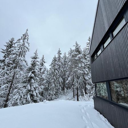 Chalet Dachstein Ramsau am Dachstein Eksteriør bilde